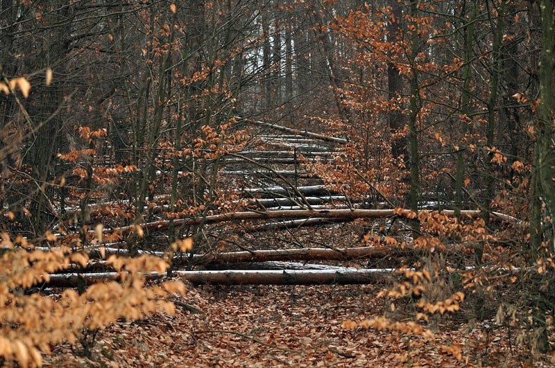Overcoming Obstacles