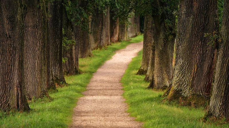 Unveiling Paths